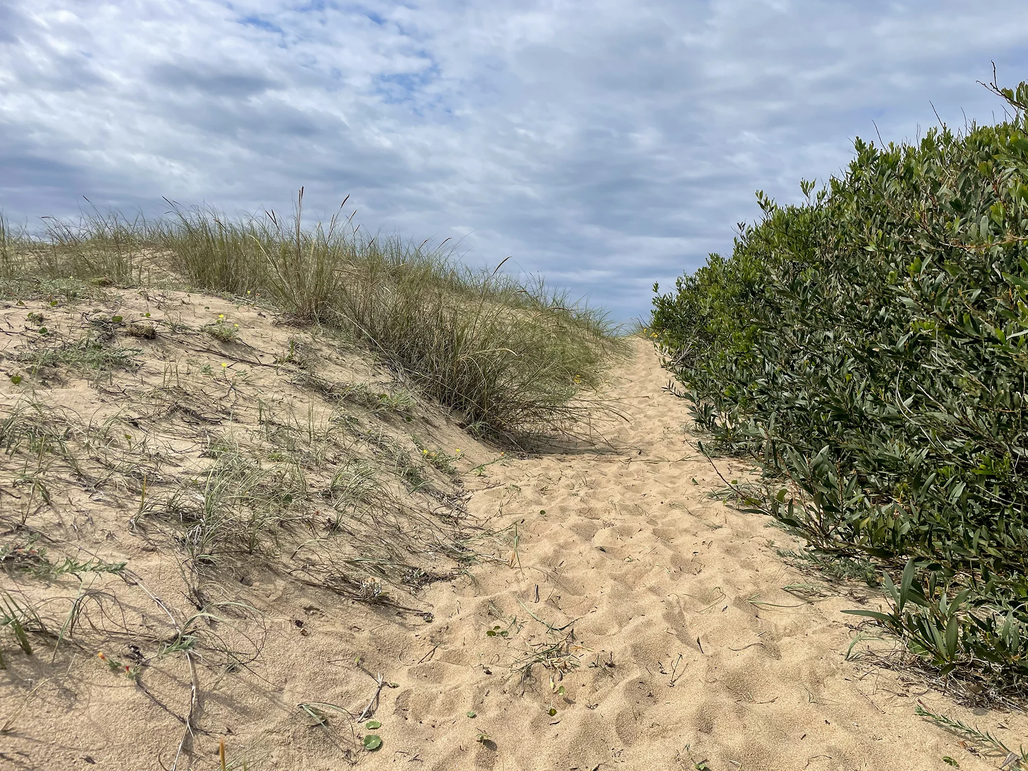 Beach - 2 photos